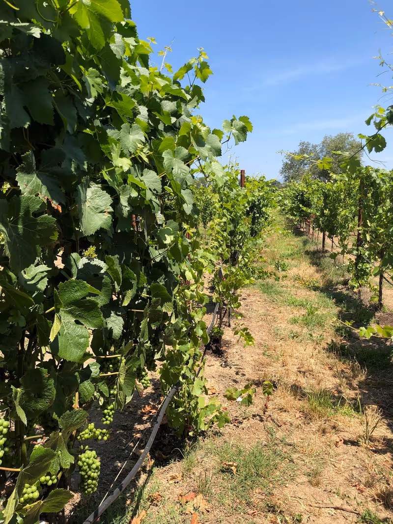 Photo of Gracianna Winery