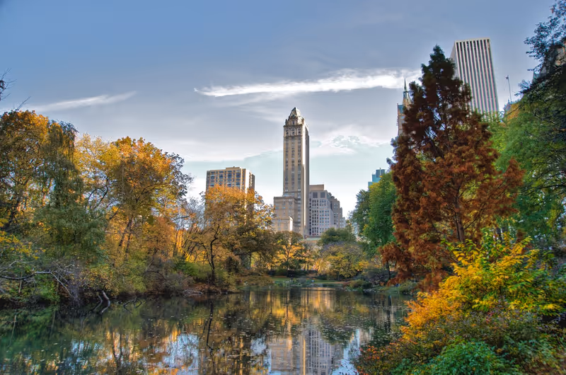 Photo of central-park