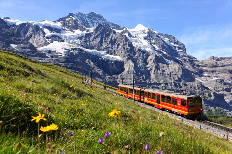 A tourist train travels on Jungfrau Railway from Jungfraujoch (Top of Europe) to Kleine Scheidegg &amp; wild flowers bloom on a green grassy hillside under blue sunny sky in Bernese Oberland, Switzerland