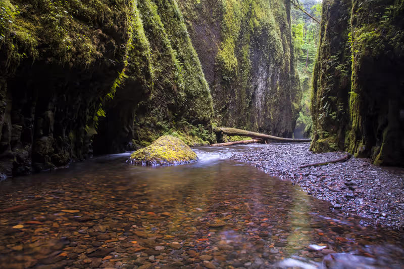 Oneonta Gorge, river canyon in Columbia Gorge, Oregon