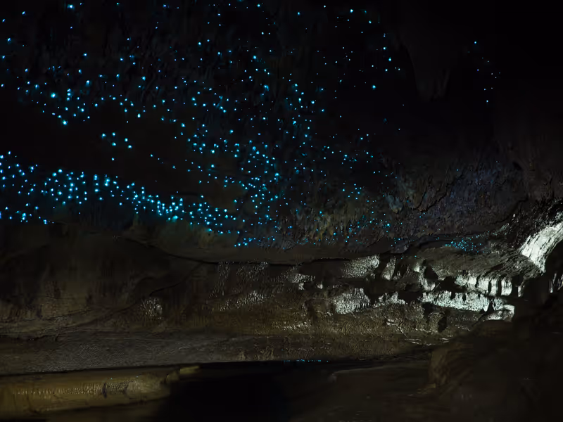 Illuminated Glow Worm Sky in Dark Cave, Waipu Caves, North Island, New Zealand, Like Waitomo Caves
