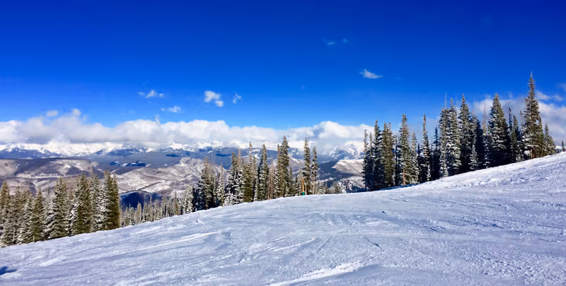 Beaver Creek Snow Gazing