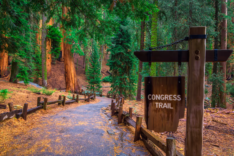 Congress Trail sign in the Giant Forest of Sequoia National Park, California. Hiking and active lifestyle concept.