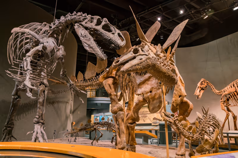 Denver, MAY 6: Interior view of the Denver Museum of Nature and Science on MAY 6, 2017 at Denver, Colorado