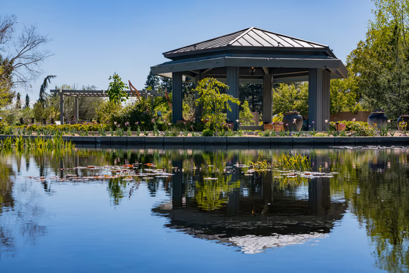 Denver, MAY 5: The beautiful Denver Botanic Gardens on MAY 5, 2017 at Denver, Colorado