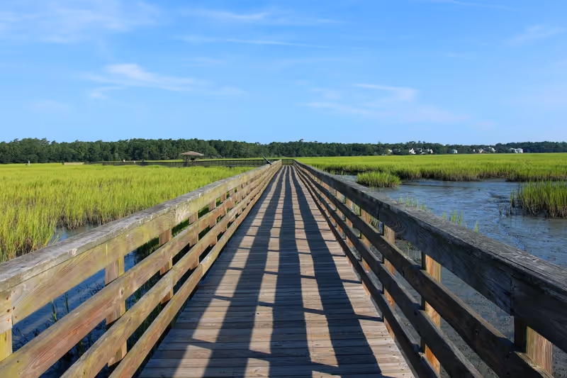 Huntington Beach State Park, South Carolina, USA.Scenic view from the wooden boardwalk on the expansive salt marsh during sunny morning. South Carolin nature background. Litchfield, Myrtle Beach area.