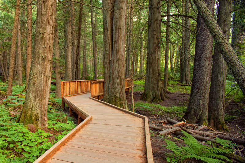 Trail of the Cedars in Glacier National Park, Montana, USA