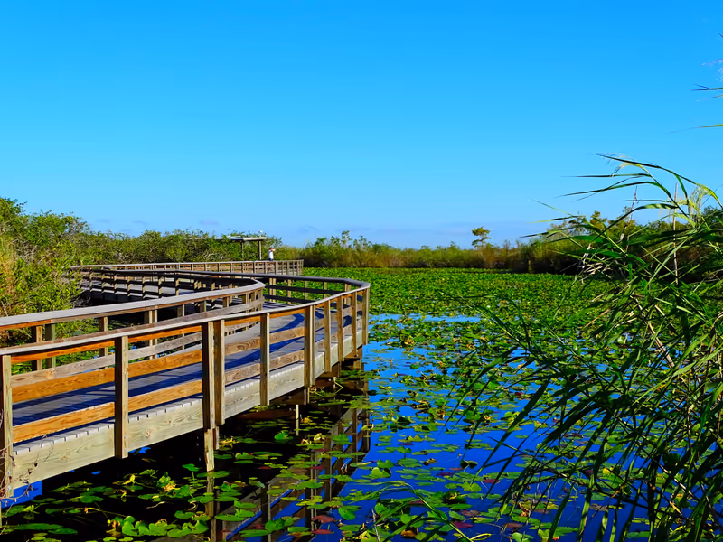 United States, Florida, Miami-Dade County, Everglades National Park, Anhinga Trail