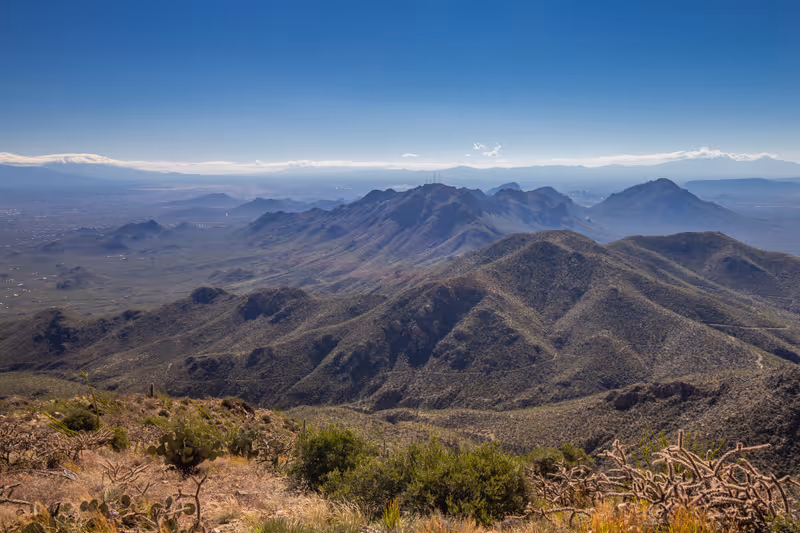 On top of Wasson peak
