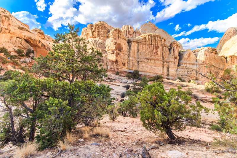 Hiking to Hickman Bridge in Capitol Reef National Park, Utah