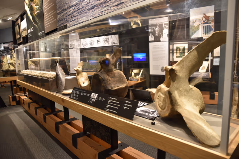 Mystic, Connecticut, United States: May 18th, 2019: Mystic Seaport Museum in Connecticut, it is the largest maritime museum in United States