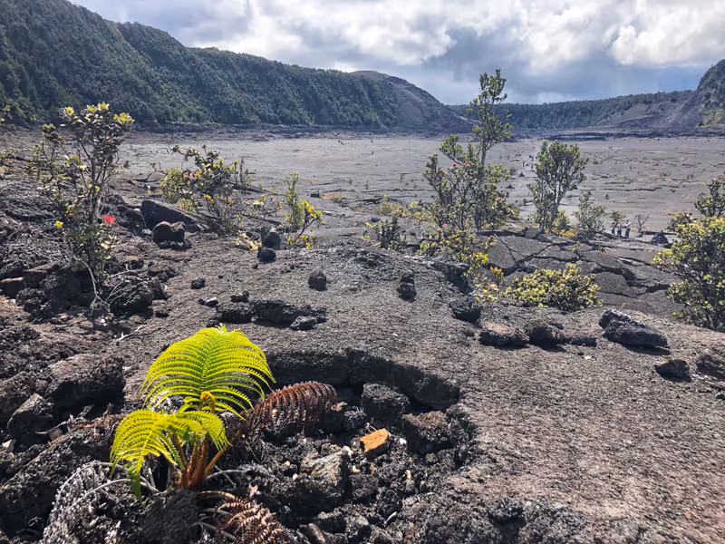 Hawaiian Volcanoes National Park - Kīlauea Iki