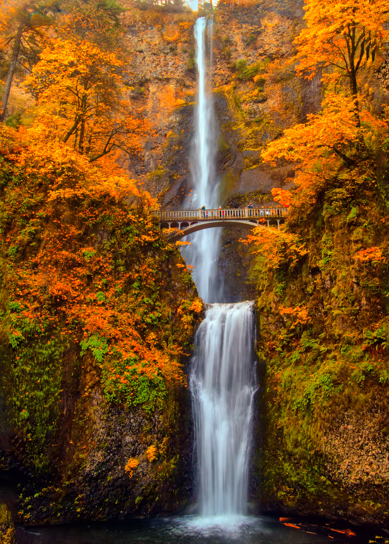 Multnomah Falls in the Columbia River Gorge of Oregon with beautiful fall colors.