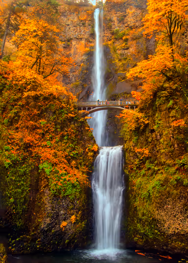 Multnomah Falls in the Columbia River Gorge of Oregon with beautiful fall colors.