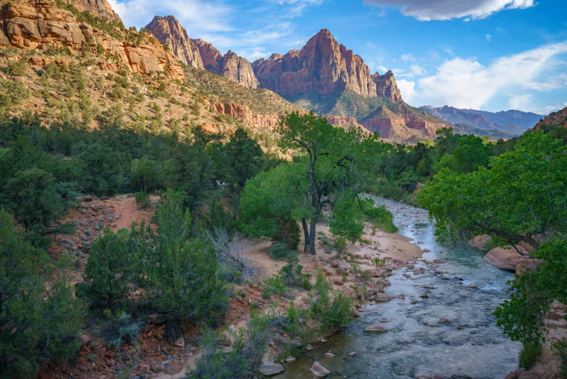 the watchman from parus trail in zion national park in the usa