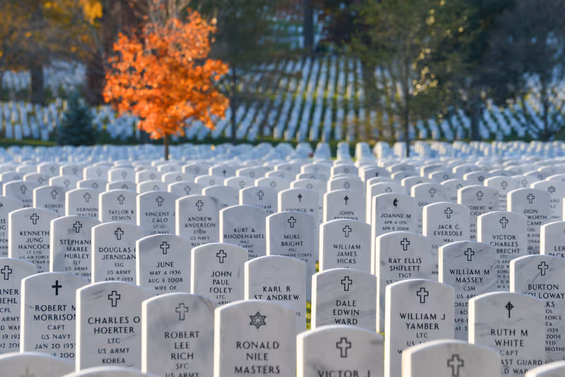 Washington DC / United States - November 16 2014: Autumn time in Arlington National cemetery . The Cemetery located in Arlington County, Virginia, across the Potomac River from Washington DC