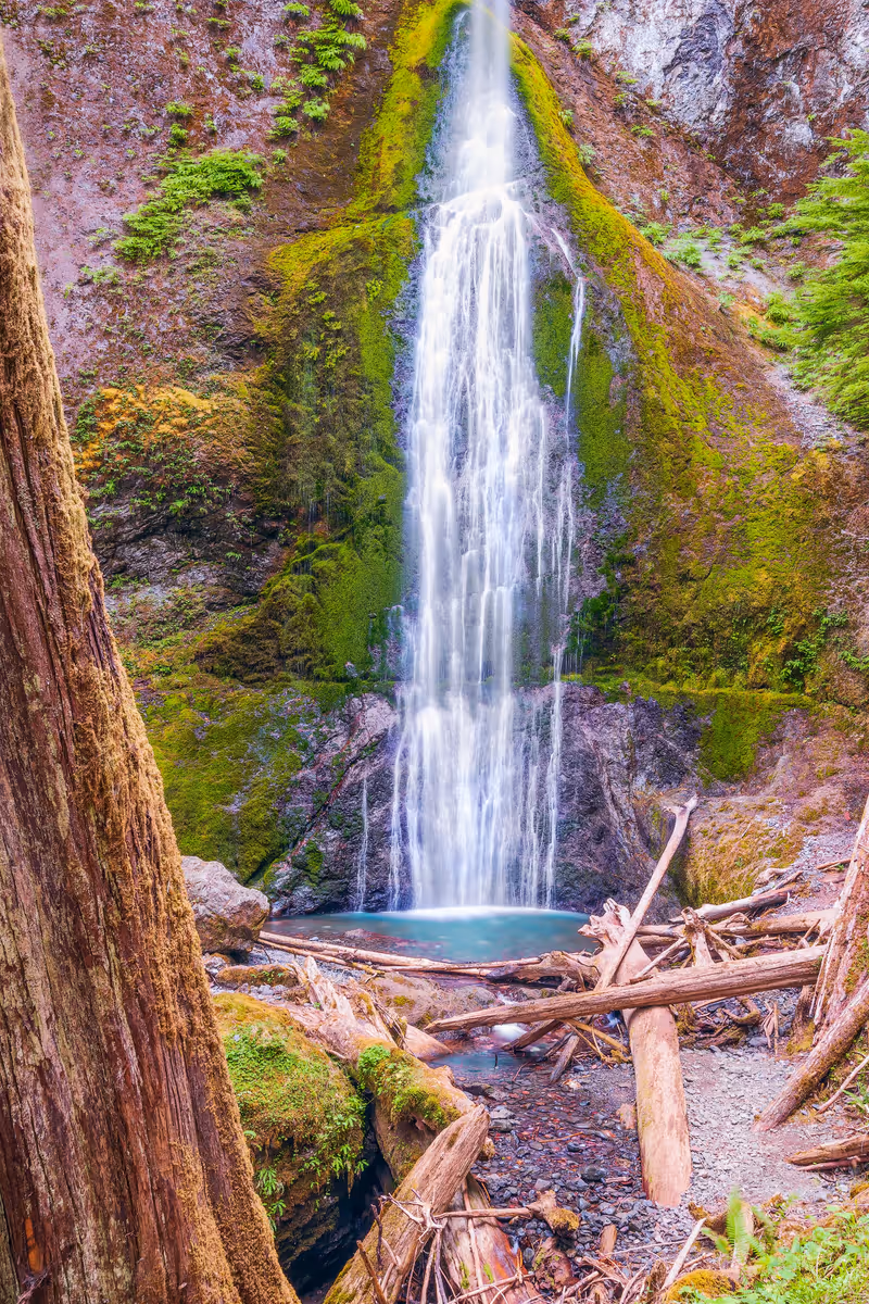 View of Marymere Falls located near Lake Crescent in Olympic National Park. Washington. USA
