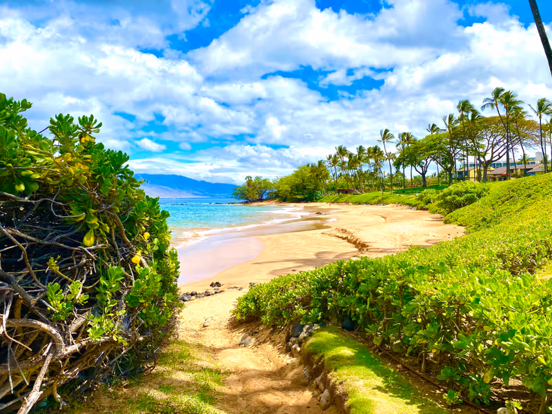 Pathway to Maui Wailea Beach