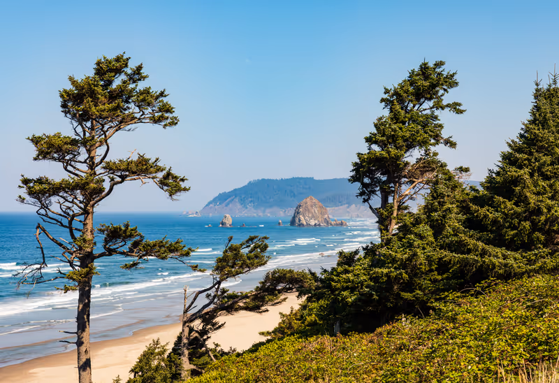 Green trees frame the view down the beach of Haystack Rock and Cannon Beach on a sunny day in Oregon