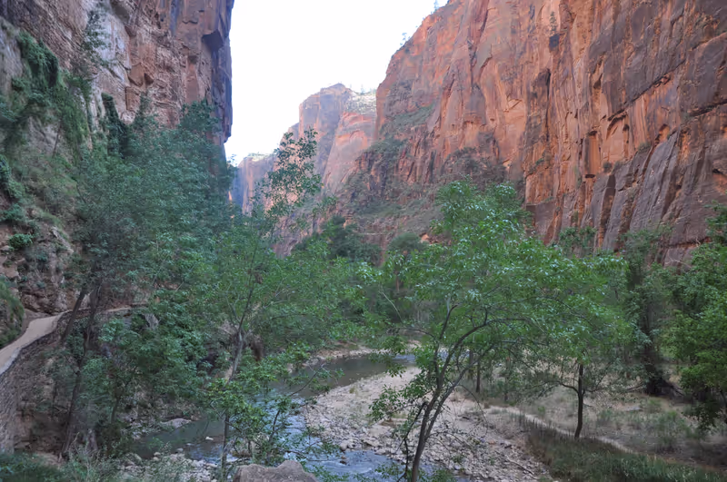 Virgin River from the Riverside Walk - Zion National Park