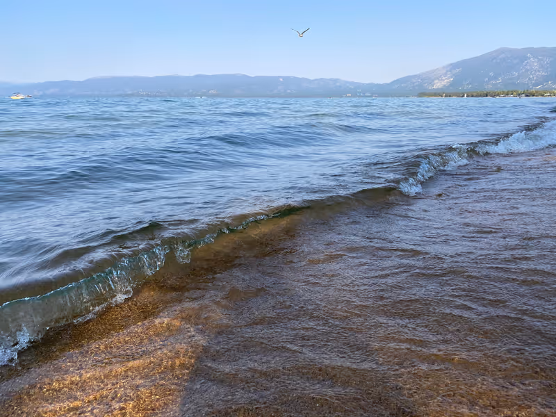 Small wave crashing at Pope Beach in South Lake Tahoe with seagull in the sky overhead.