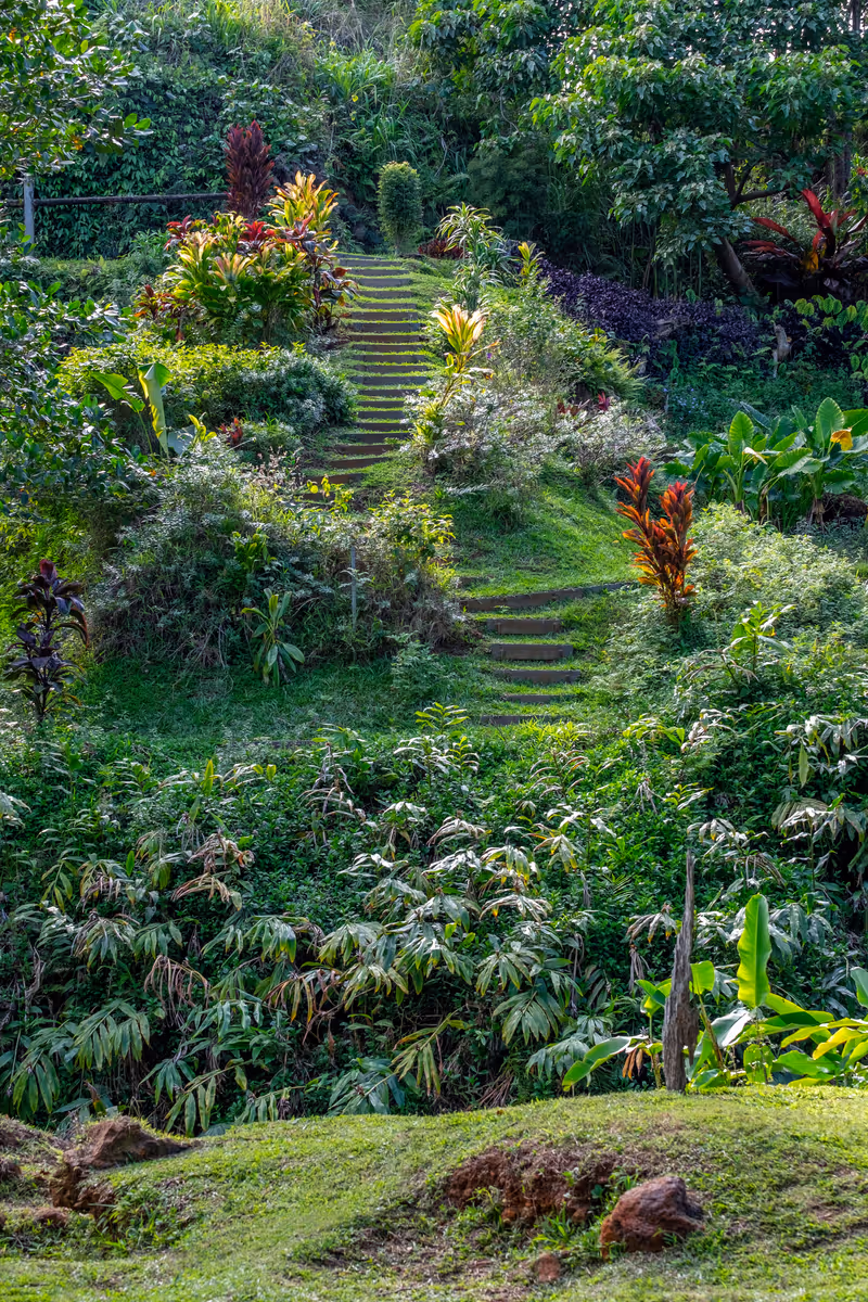 Princeville Botanical Garden, Princeville, Kauai, Hawaii