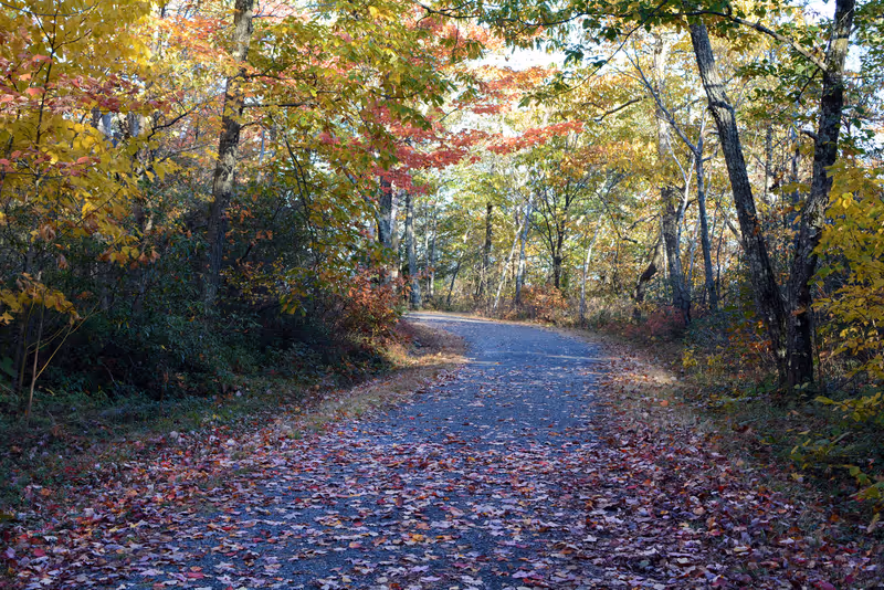Carriage Path with Fall Foliage in Lake Minnewaska State Park Preserve