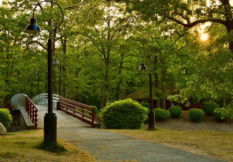 Goddard State Park, Rhode Island. Lovely walking path with a wooden bridge.
