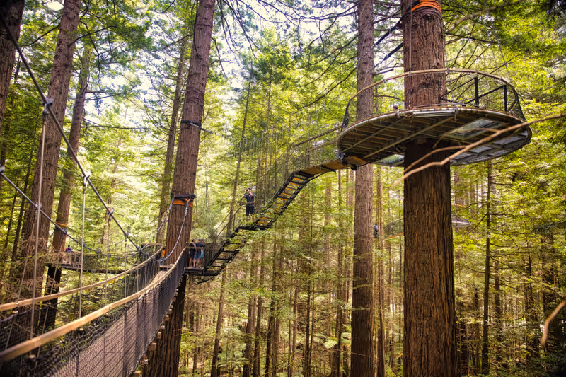 View of redwood tree top walks, in Redwoods Whakarewarewa Forest. Taken in Rotorua, New Zealand on Nov 28, 2019.
