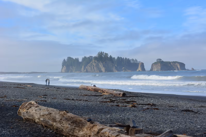 rialto beach with fog Washington