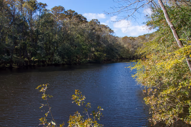 Weston Lake in Congaree National Park