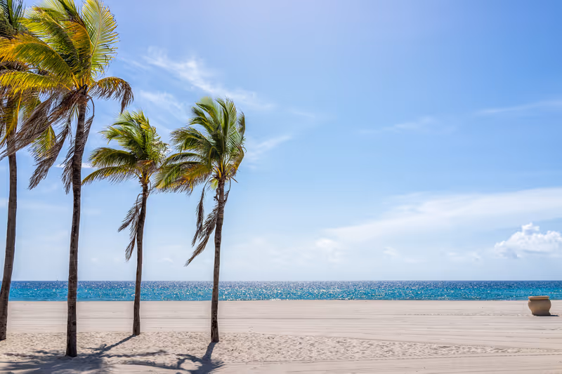 Hollywood beach in north Miami, Florida with sand landscape beautiful palm trees in foreground against idyllic ocean water and sunny blue sky in summer
