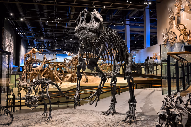 Salt Lake City, Utah USA - March 16th, 2022: Dinosaurs at Natural History Museum of Utah