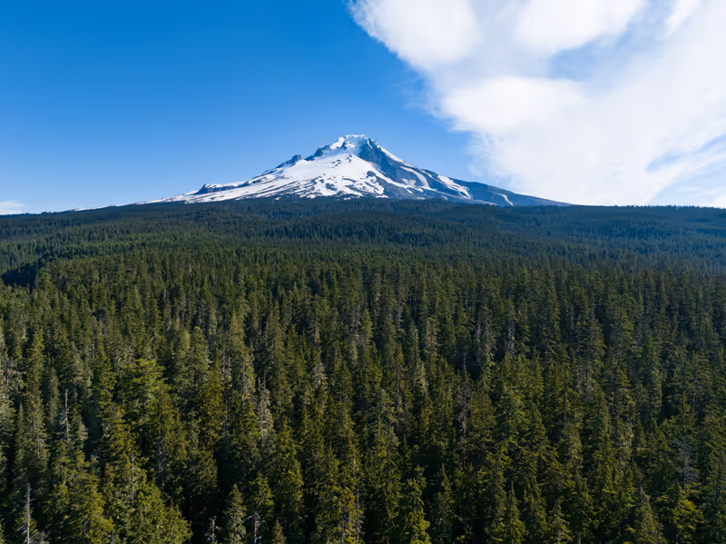 Mt. Hood rises from surrounding forest in Oregon, not far from Portland. This impressive mountain, part of the Cascade Range in the Pacific Northwest, is a potentially active stratovolcano.