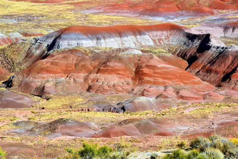 Petrified Forest, Arizona USA - October 13, 2017: Painted Desert scene, Petrified Forest National Park, October 13, 2017.