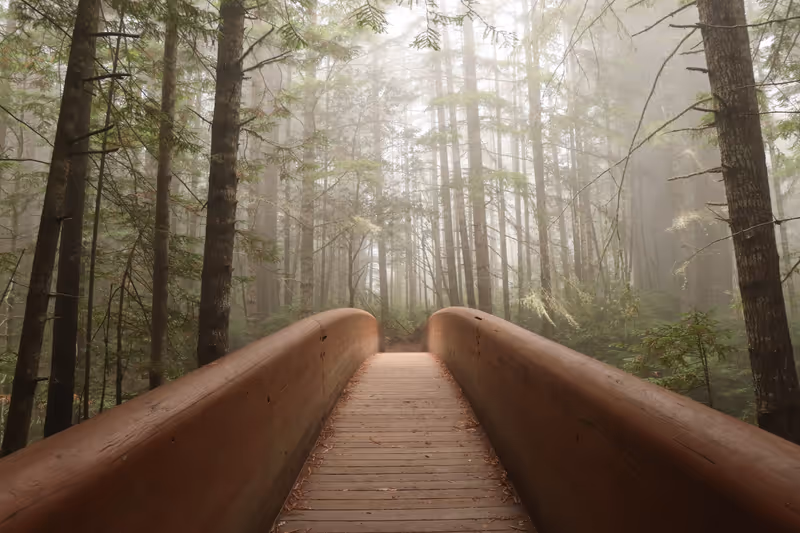 Wooden Bridge to Lady Bird Johnson Grove, Redwoods National and State Parks, California