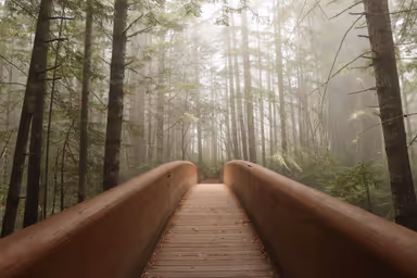 Wooden Bridge to Lady Bird Johnson Grove, Redwoods National and State Parks, California