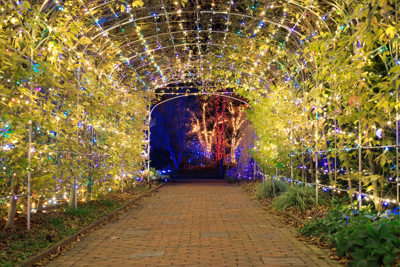 Lewis Ginter Botanical Gardens, Garden Fest of Lights, Light Displays.