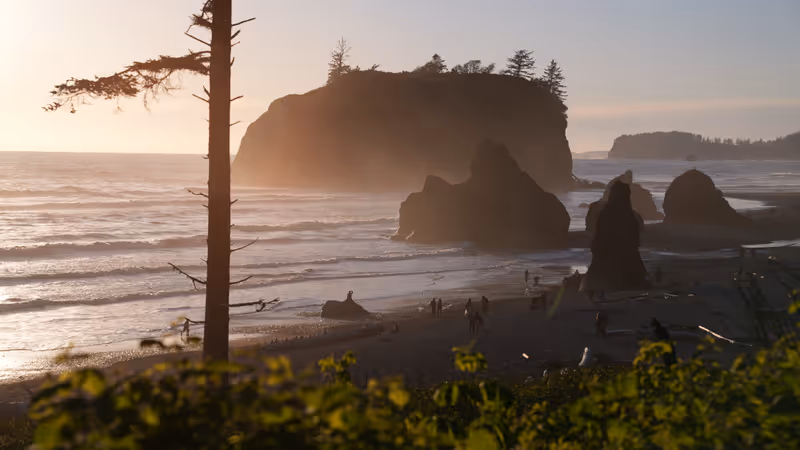 Olympic National Park, Washington, USA at Ruby Beach with piles of deadwood and sunset