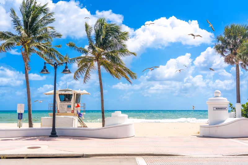 Seafront beach promenade with palm trees on a sunny day in Fort Lauderdale and seagulls