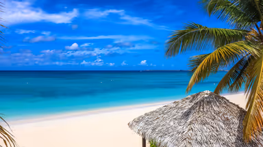 Seven Mile Beach in Grand Cayman, Cayman Islands Features azure blue sky, crystal-clear waters, pristine white sand, and coconut tree branches. Ideal for Caribbean vacations, tropical paradises, and