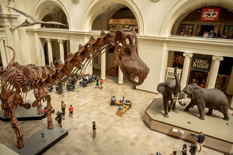 Chicago, Illinois, United States, August 12, 2023 Field Museum of Natural History, looking down on lobby main floor,