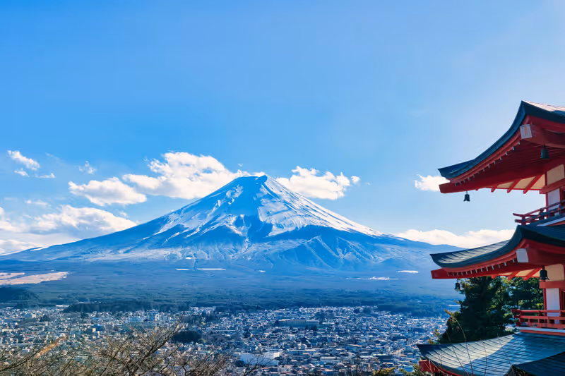 Photo of shutterstock_2436189809