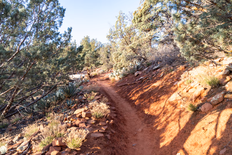 Soldier Pass trail in Sedona Arizona in the morning light