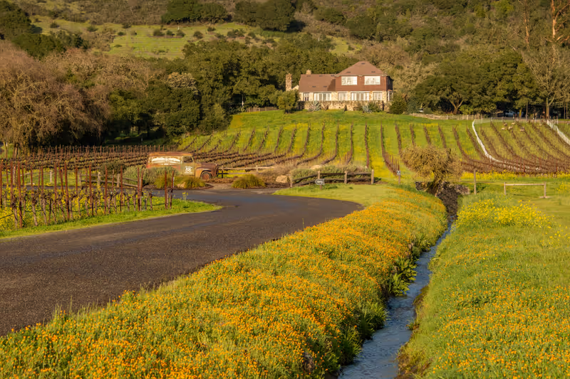 This photograph was taken on the beautiful grounds of Gundlach Bundschu Winery in Sonoma, CA