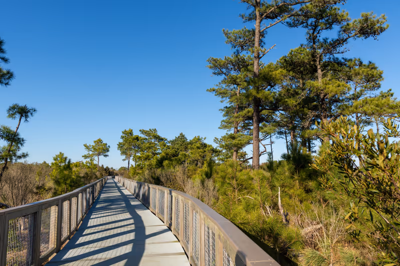 The Gordons Pond Trail wanders through nature at Cape Henlopen State Park on the Eastern Shore. This 3.2-mile accessible trail offers stunning views.