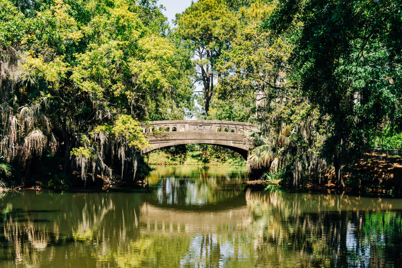 Stone bridge over pond with green foliage in City Park, New Orleans