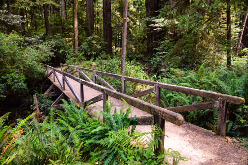 Simpson Reed Grove bridge at Jedediah Smith Redwoods State Park in Crescent City, California