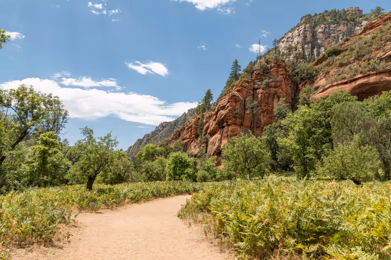 West Fork Oak Creek Trail. Sedona. Arizona.