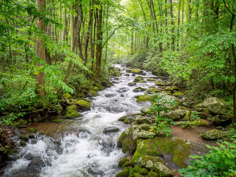 Roaring Fork stream on the Roaring Fork Motor Nature Trail in Great Smokey Mountains National Park in Tennessee, USA